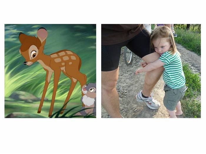 thumper bambi